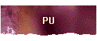 PU