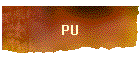 PU