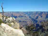 03-02-04_054_Vista_with_dead_tree.jpg (253503 bytes)