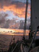 Sailing sunset seascape